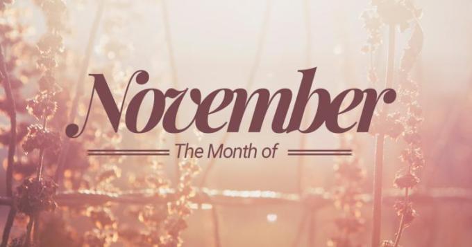 the-month-november